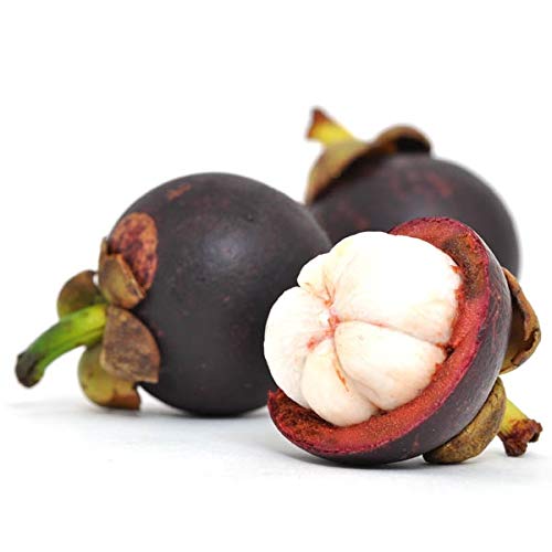 MANGOSTEEN