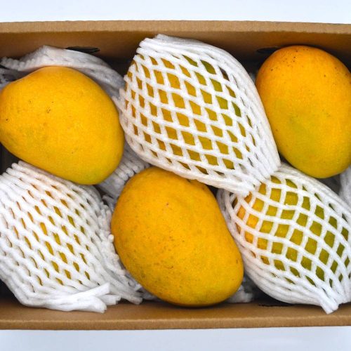 INDIAN ALPHONSO MANGOES (6'S)